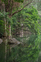 Idyllic landscape of country park Shing Mun reservoir in Hong Kong