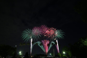 日本の夜空の花火