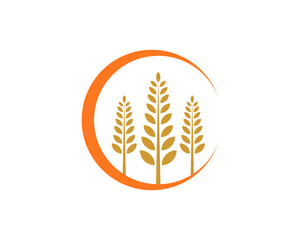 3 wheat in the sunset vector logo