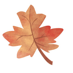 Fototapeta premium Autumn fallen leaves watercolor