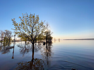 Lake at dusk on a sunny day