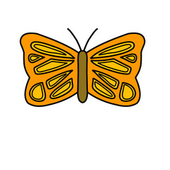 butterfly vector
