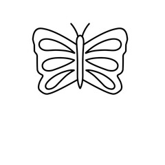 butterfly vector