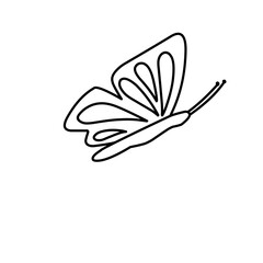 butterfly vector
