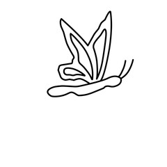 Obraz premium butterfly vector