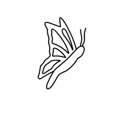 butterfly vector