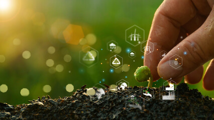 World environment day. Hand Planting Seeds. Sustainable Strategic Guidelines Renewable energy,...