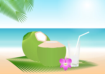 Coconut Juice or Coconut Water Drink, Coconut Cocktail on Beach. Vector Illustration.