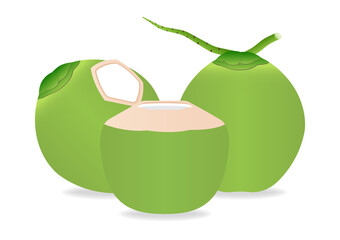 Coconut Juice or Coconut Water Drink, Fresh Green Coconut. Vector Illustration Isolated on White Background. 
