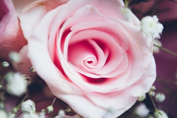 pink flower close up of wedding bouquet
