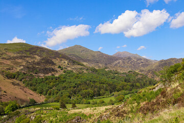 beddgelert forest snowdonia in summer