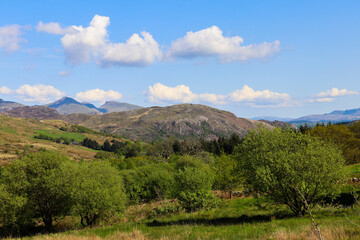 Snowdonia Moelwynion range summer wales