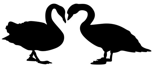 Set Vector couple duck black silhouette animal
