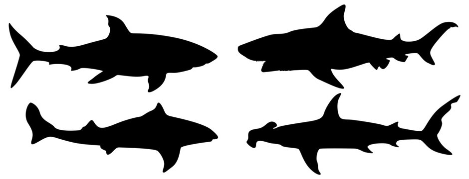 Set black sharks silhouette dangerous sea animal icon vector  illustration