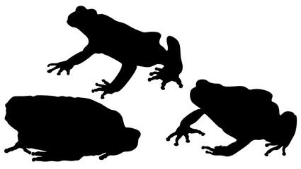 frog, graphic, icon, illustration, illustrations, isolated, jump, jungle, lake, logo design, logo template, logos, logotype, nature, rain, set, signs, silhouette, skin, small, sport, symbol, tropical