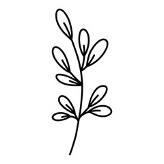 Cute branch with leaves isolated on white background. Vector hand-drawn illustration in doodle style. Perfect for cards, logo, decorations, various designs. Botanical clipart.