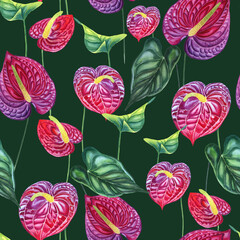 Red anthuriums watercolor seamless pattern. Tropical flowers trendy magenta colors endless background. Exotic plants with leaves for fabric and wallpaper.