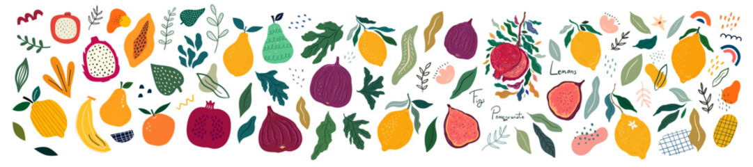 Big vector collection of different fruits. Hand-drawn collection of healthy, organic fruits. - 604936205
