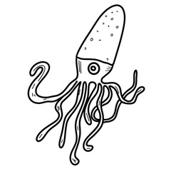 Squid illustration, black and white, ocean, sea life, sea animal