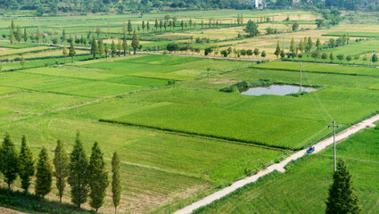 Large green farm land in China