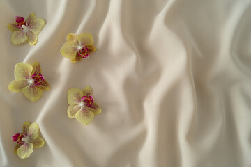 Exotic orchids on smooth silk. Minimal background concept. Nature aesthetic idea. Flat lay, top of view.