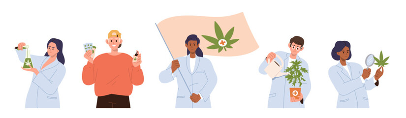 Set of scientist doctor testing cannabis marijuana plant for medical use in research laboratory