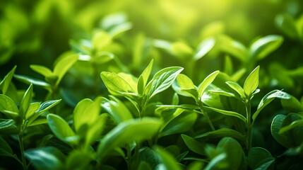 Obraz premium Close-up small green tree plants nature background generative ai