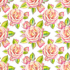 Floral seamless pattern with garden roses and leaves, watercolor