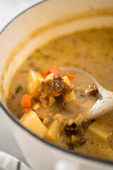 Creamy wild mushroom soup