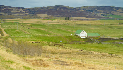 Fototapeta na wymiar farm in Iceland. agriculture in precarious conditions. landscape.