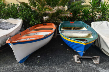 Rowing boats pulled dry on the waterfront with green plants in the background, Genoa, Liguria, Italy