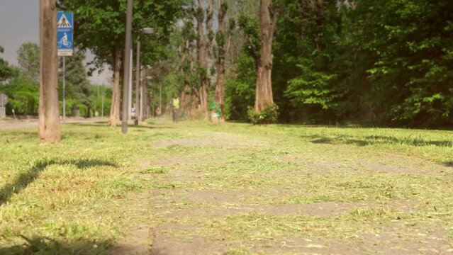 A man is clining the cut grass with air off the road on a summer day.
