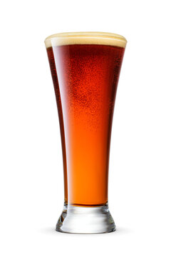 Pilsner glass of fresh dark brown beer with cap of foam isolated. Transparent PNG image.