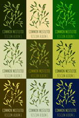 Set of drawing of COMMON MISTLETOE in various colors. Hand drawn illustration. Latin name VISCUM ALBUM L.