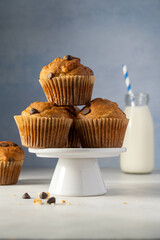 Chocolate chip muffins in a plate, home made pastry dessert