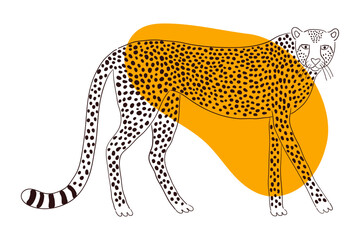 Cute walking cheetah hand drawn cartoon character illustration, sketch. Line art, drawing style design, isolated vector. Tropical animal, jungle wildlife, big cats, safari, nature, print element