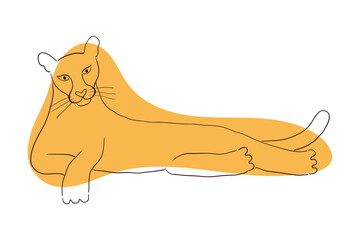 Cute cougar laying down hand drawn cartoon character illustration, sketch. Line art, drawing style design, isolated vector. Tropical animal, jungle wildlife, big cats, safari, nature, print element