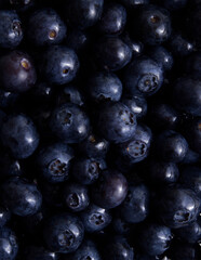 Freshly picked blueberries close-up top view