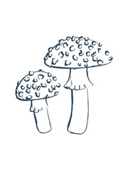 Amanita vector line art illustration. Mushroom hand drawn sketch. White background.