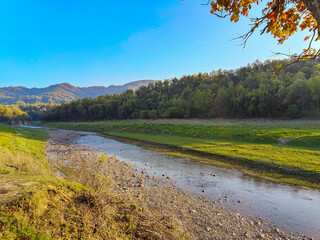 Wildlife jungle river mountain