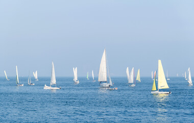 Group of sailboats in the sea