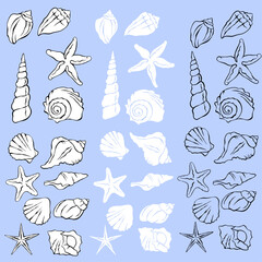 painted set with water-shells