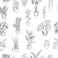House plants. Vector pattern