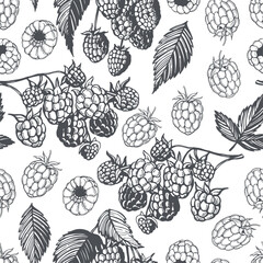 Hand-drawn  raspberry.  Vector  pattern.