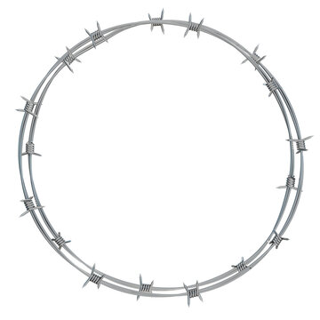  Round coils of barbed wire.