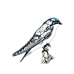 Swallow bird sketch with a transparent background