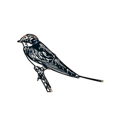 Swallow bird sketch with a transparent background