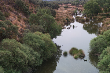 Fototapeta na wymiar krajobraz góry skały rzeka rio manzanares widok natura drzewa