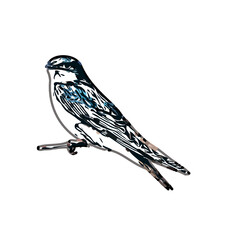 Swallow bird sketch with a transparent background