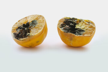 Two halves of a lemon with black mold. Black mold.